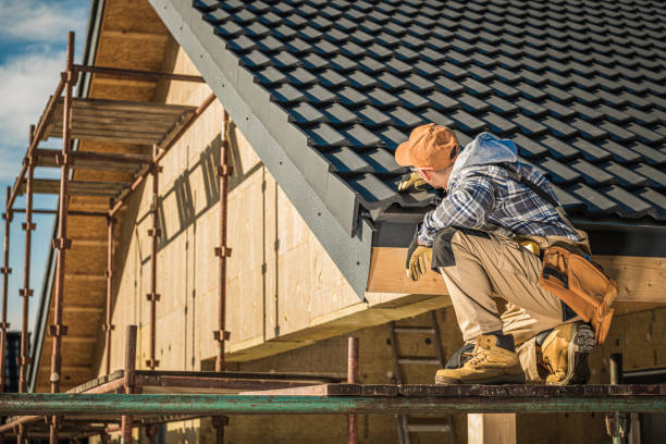 Best Metal Roofing Installation  in Orange Beach, AL