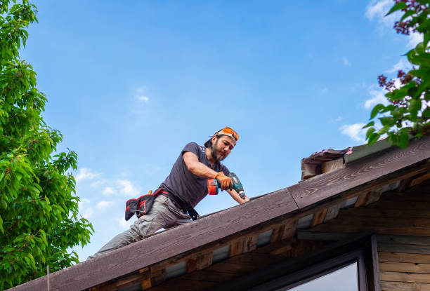 Best Cold Roofs  in Orange Beach, AL