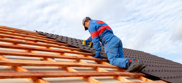 Best Solar Panel Roofing Installation  in Orange Beach, AL
