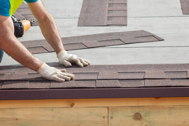 Best Asphalt Shingle Roofing  in Orange Beach, AL